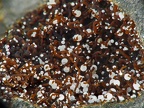 Phillipsite-CaBaryfère, Le Bousquet, AveyronX9,5mm131phZS