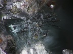 Plattnerite, Ojuela, Mapimi, MexiqueX170ph