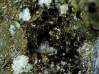Pyrite, Sounion, Laurion, Grèce01X4,5mm53phCZ