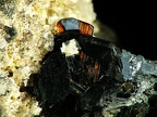 Rutile, Cavradi, Grisons, SuisseX8mm81phHF