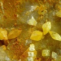 Stolzite, Les Salces, LozèreX7,2mm80phZS