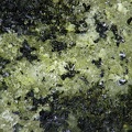 Straczenite, North Wilson, Arkansas, USAX3,6mm42ph