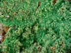 Torbernite, Prévinquières, Entraygues, AveyronX7,2mm128phCZ