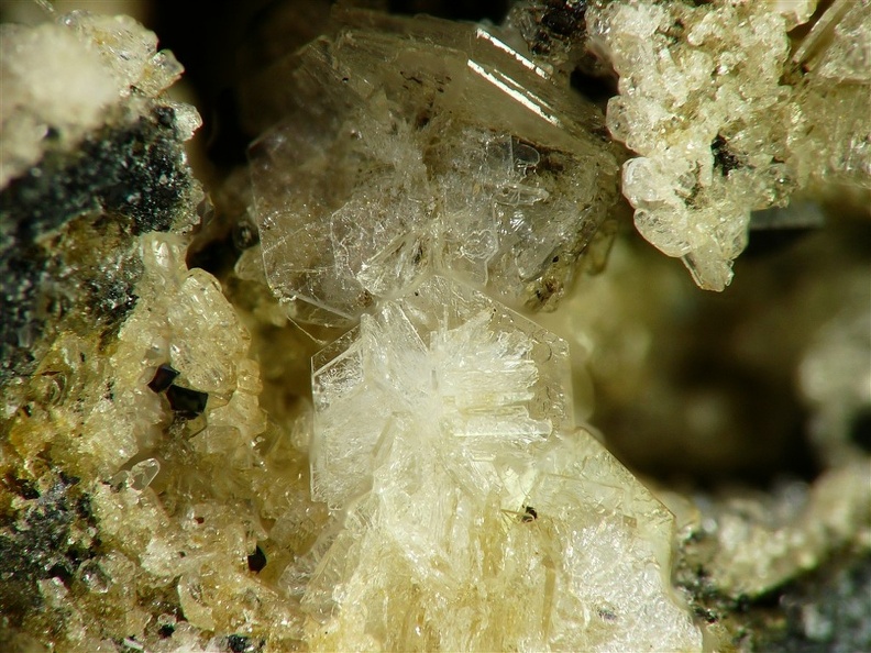 Tridymite, Le Capucin, Mont-Dore, Puy-de-DômeX6,1mm97ph.jpg