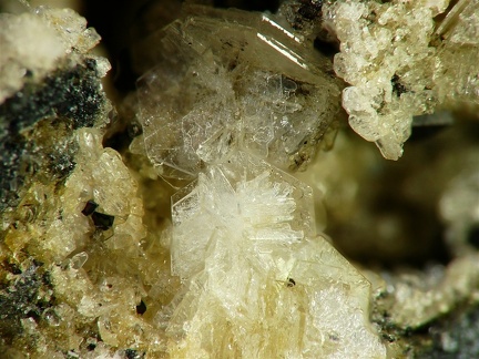 Tridymite, Le Capucin, Mont-Dore, Puy-de-DômeX6,1mm97ph