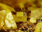 Wulfenite, Aïcha Bel Lahcen, Midelt, Drâa-Tafilalet, MarocX3,6mm139phZS