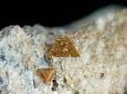 Zunyite, Chouichiat, Drâa-Tafilalet, MarocX6,1mm93phCZ